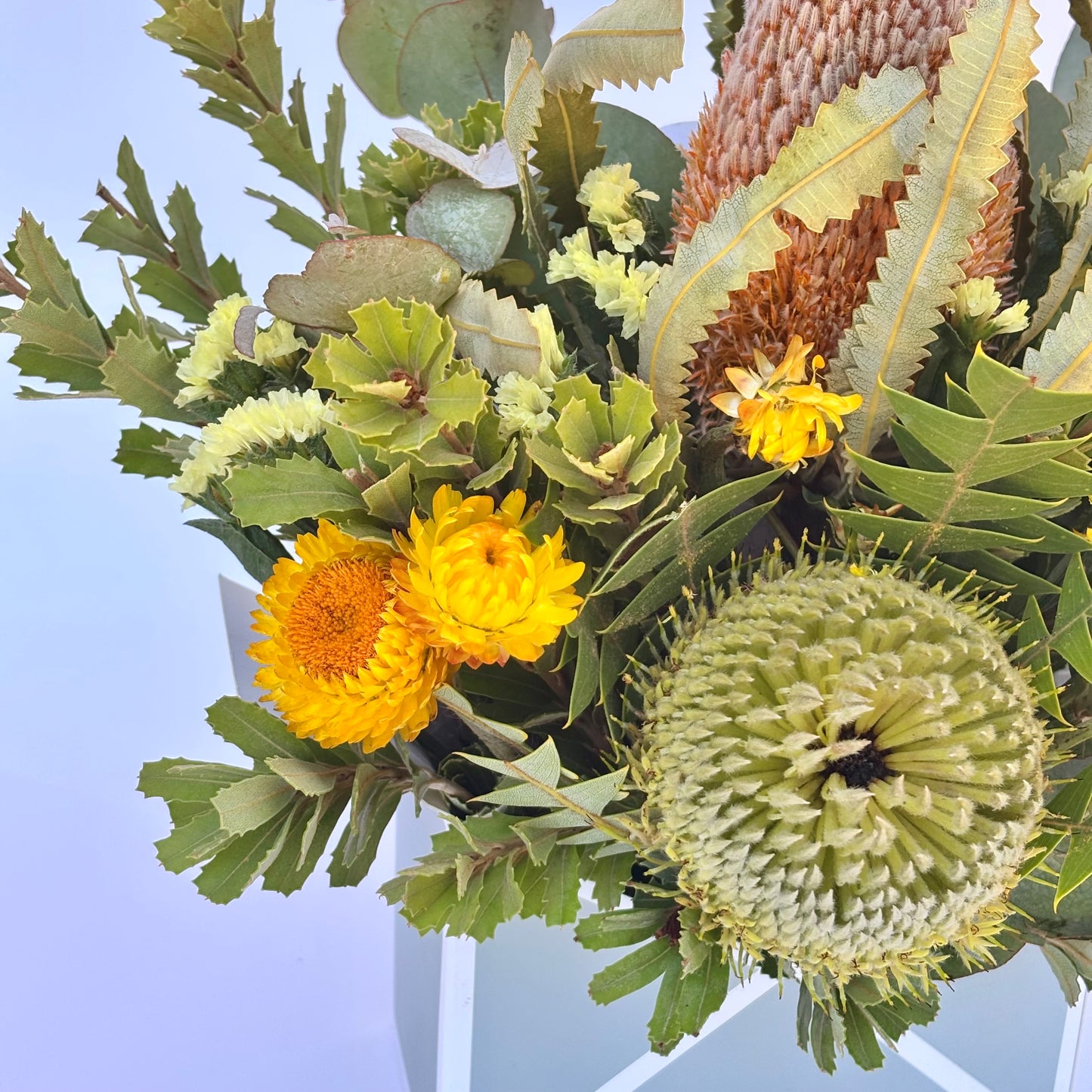 Native Green Flowers -flower delivery Sydney