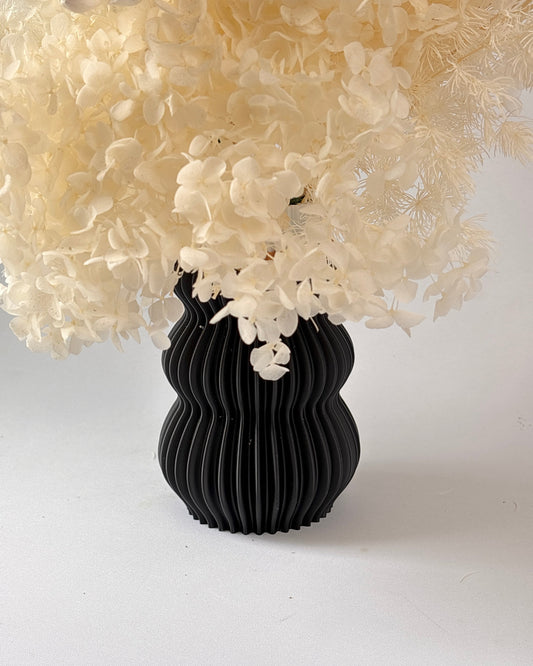Black vase with white flowers on a white background