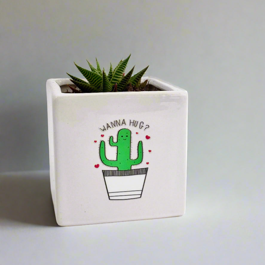 Quotes plant