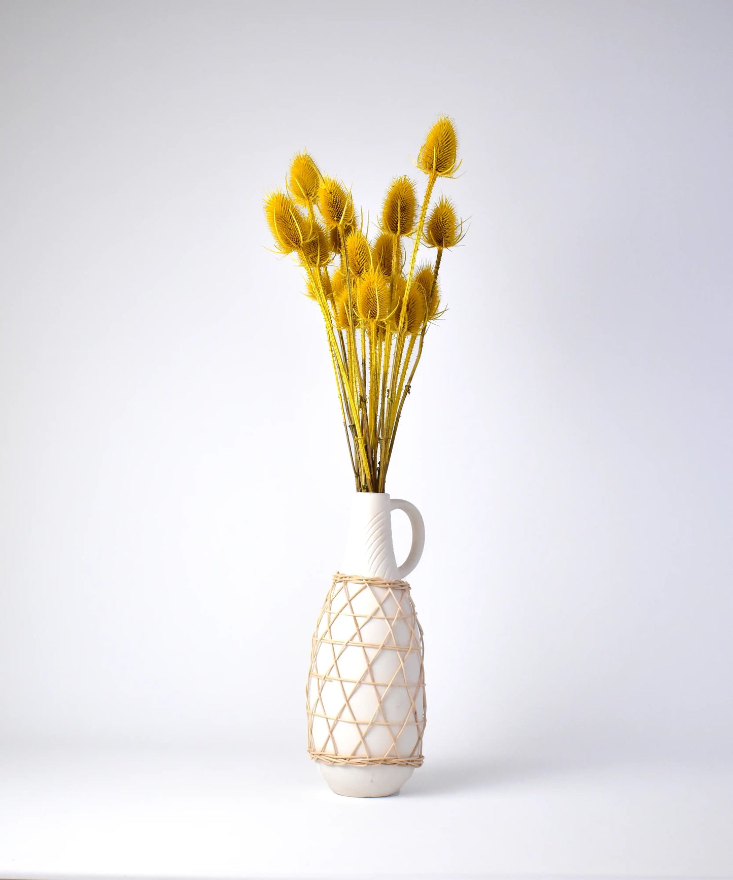 Golden Dried Teasel - Office Flower