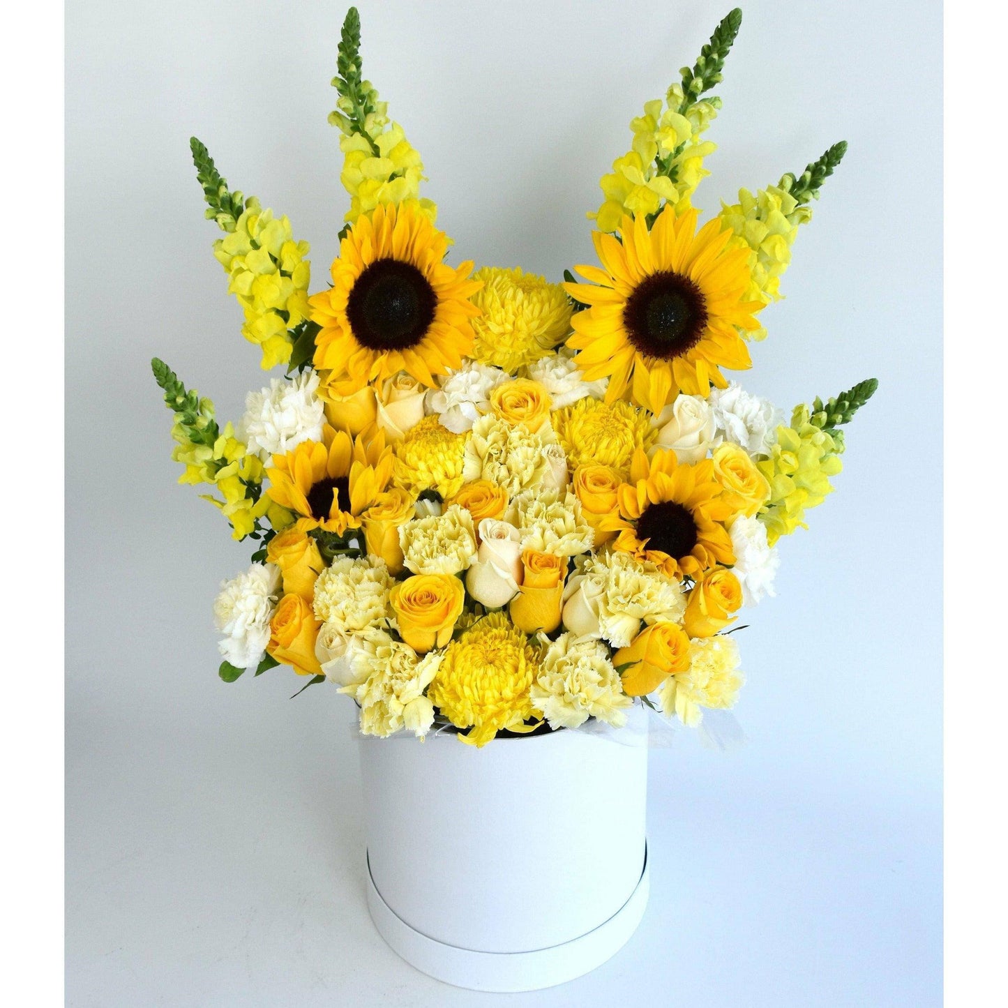 Sunflower Blooms - Office Flower