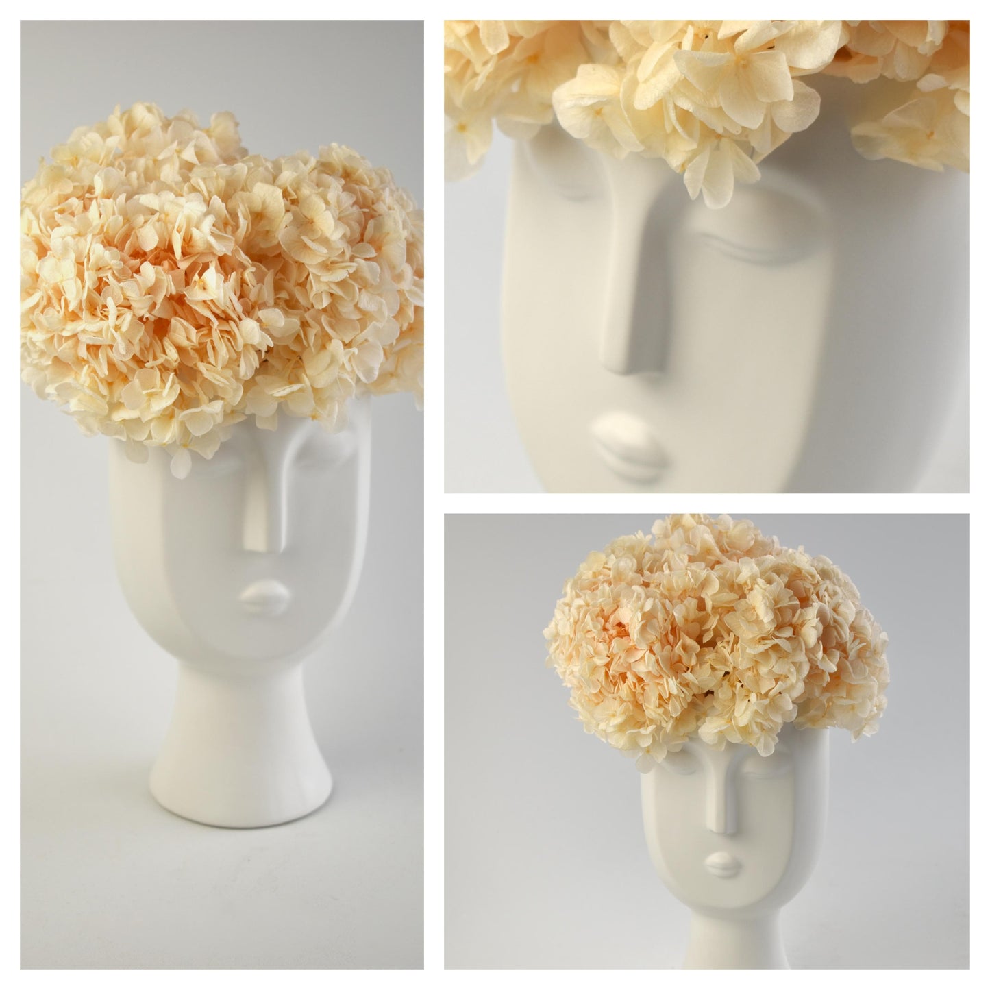 Preserved Flowers - Everlasting Face Décor - Office Flower
