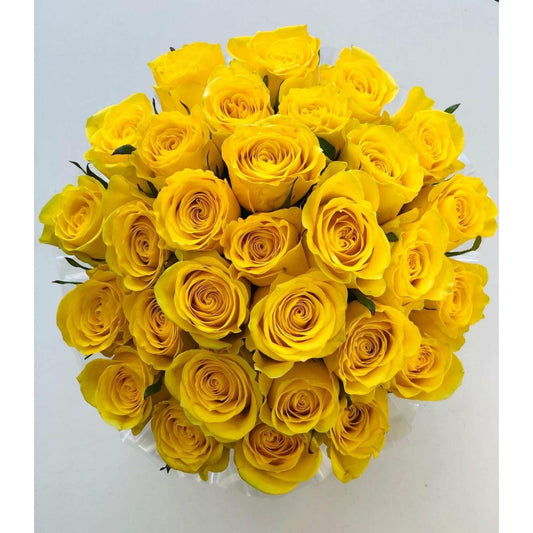 Yellow Rose Box - Rose Delivery Sydney