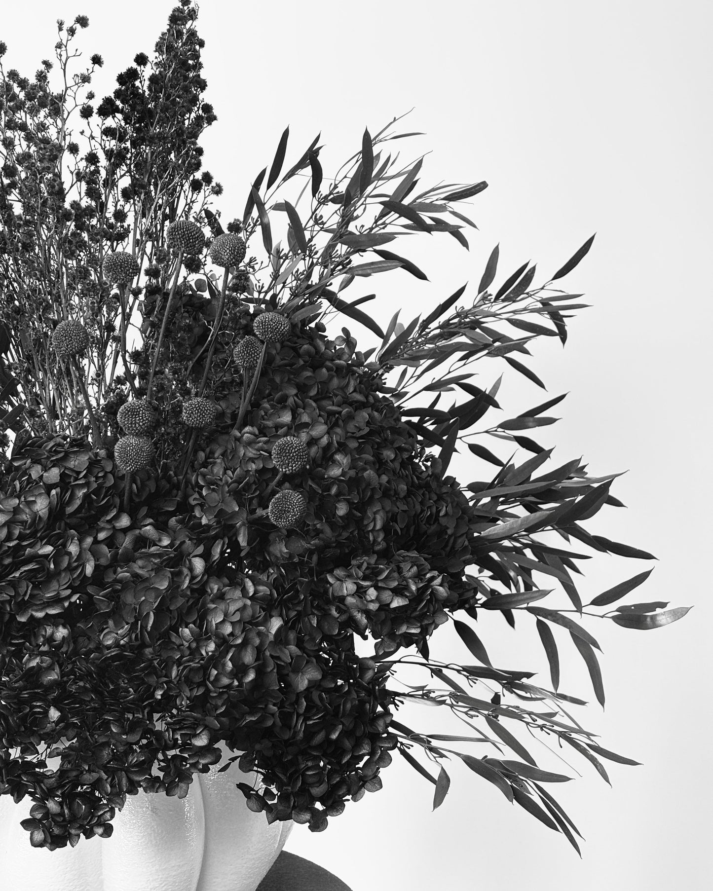 A black and white photograph of a dried floral arrangement with textured spherical blooms and long narrow leaves, set against a plain light background.