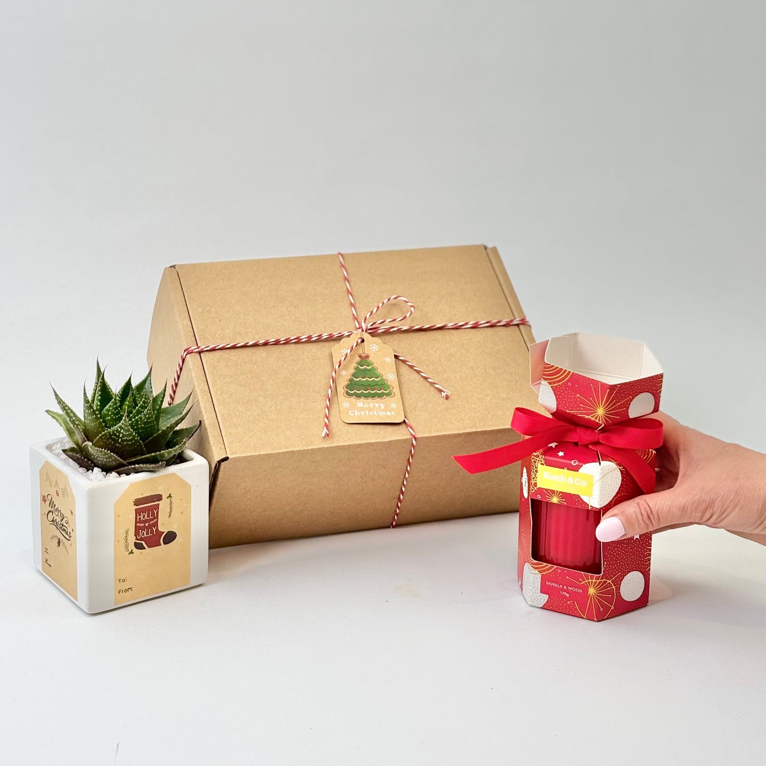 plant gift for new year and Christmas 