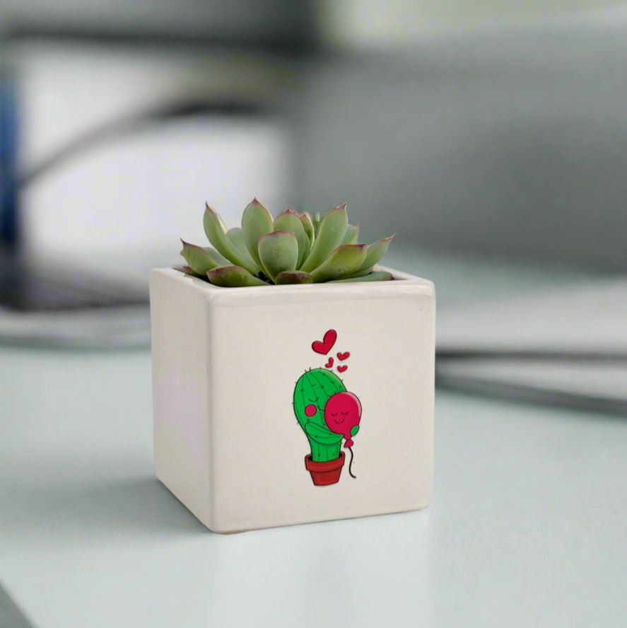 Desk Plant Gift