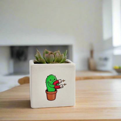 Cute plant Gift