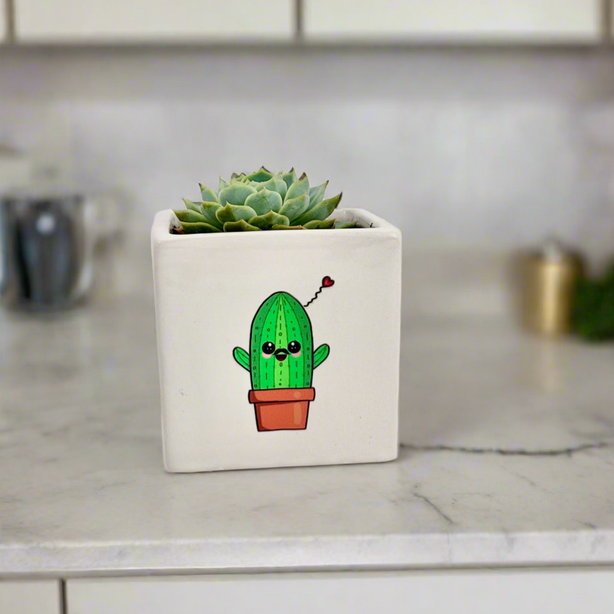 Plant Gift For Her/Him