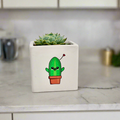 Plant Gift For Her/Him