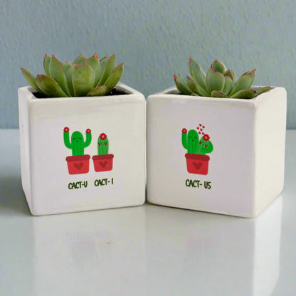 Succulent Plant Gift , Cact-Us , Set(Pack 2)