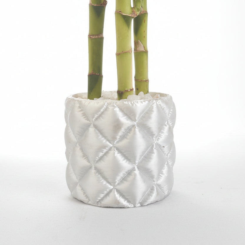 Silver textured planter with green bamboo on a light gray background