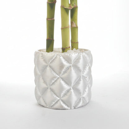 Silver textured planter with green bamboo on a light gray background