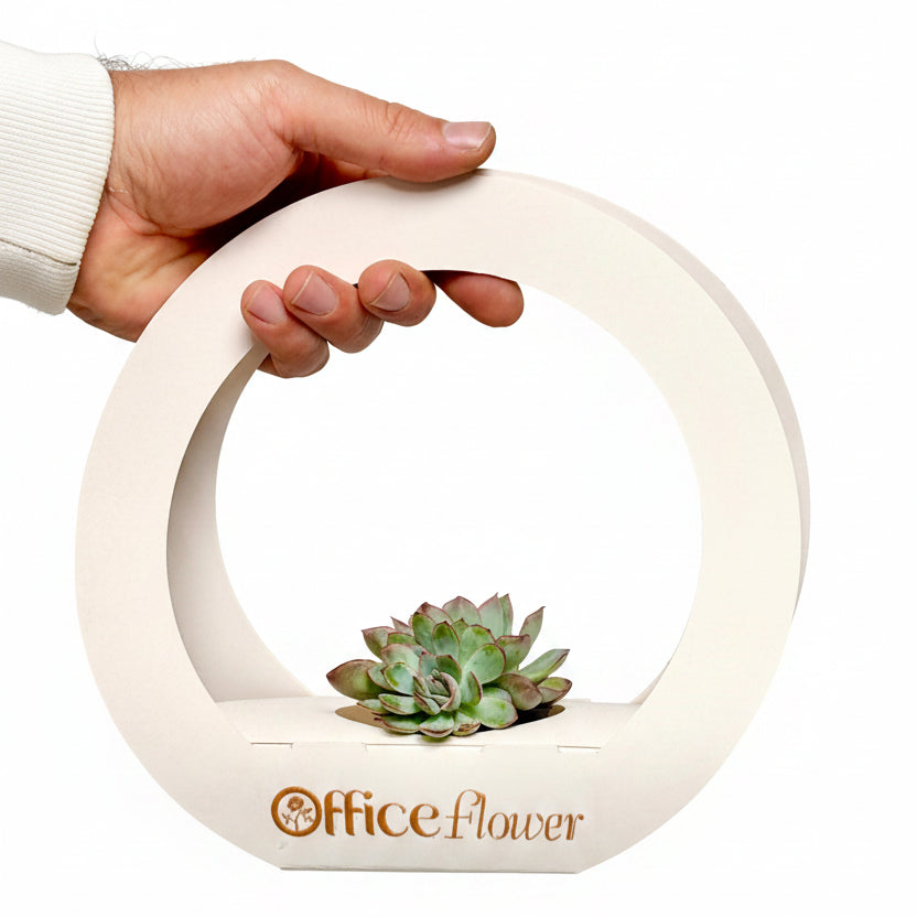 A hand holding a circular white planter with a small succulent plant inside. The planter features the brand name 'Office flower' printed in brown on the front, set against a plain light gray background