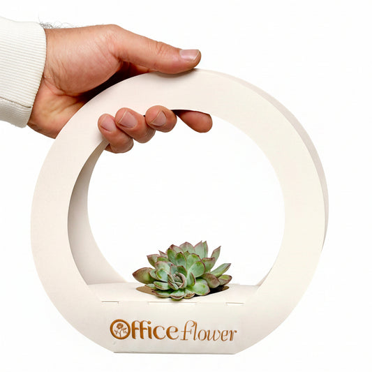A hand holding a circular white planter with a small succulent plant inside. The planter features the brand name 'Office flower' printed in brown on the front, set against a plain light gray background