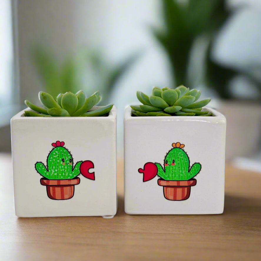 Funny Succulents Plant Pots