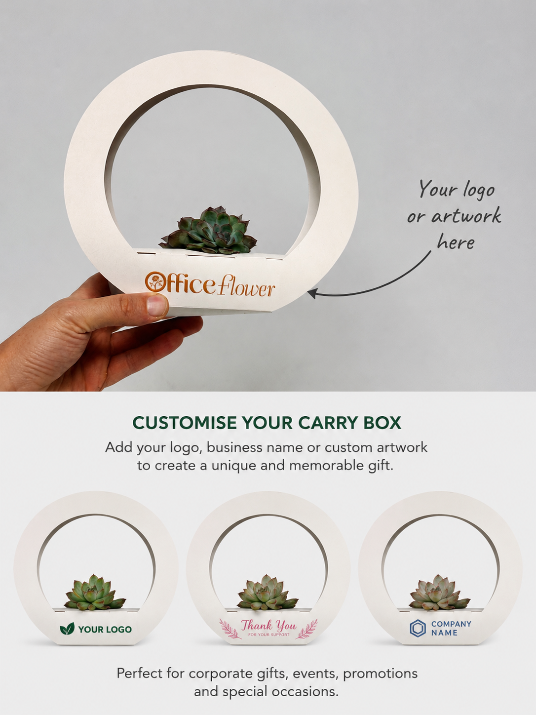 A hand holds a white circular succulent carrier box with a small green succulent inside. The top section shows the custom printed brand name 'Officeflower' on the front with an arrow pointing to the customization area.