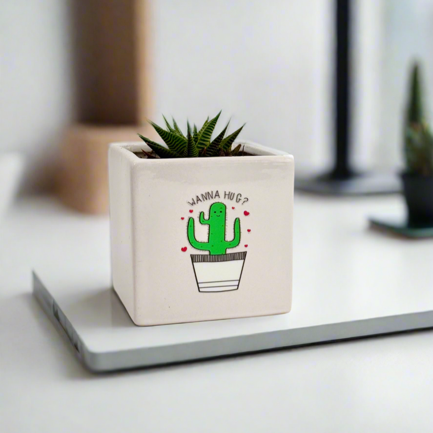 Funny Plant Gifts with writing 