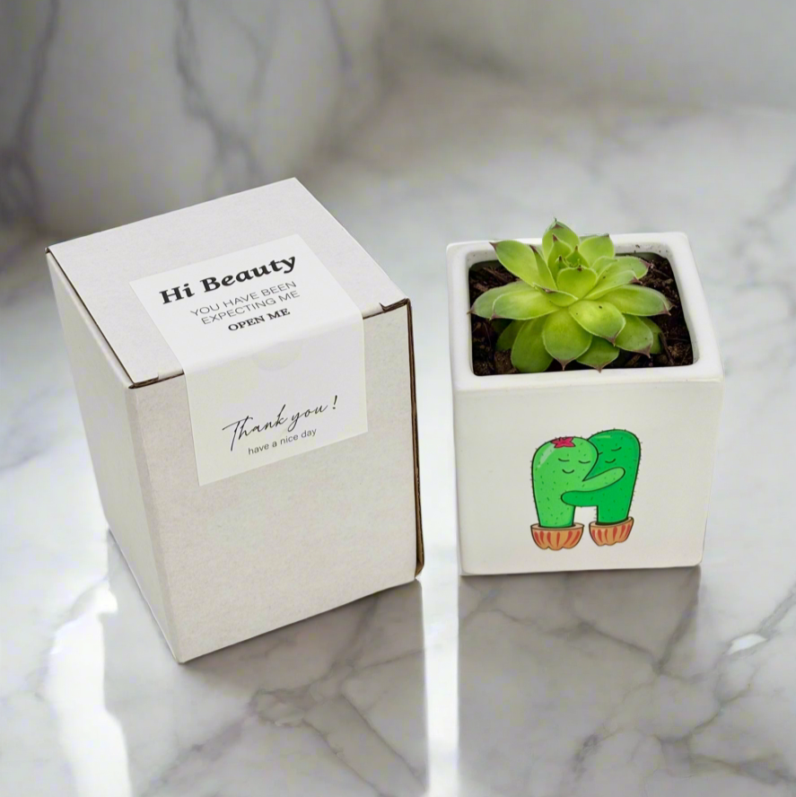 gift box for succulents lovers