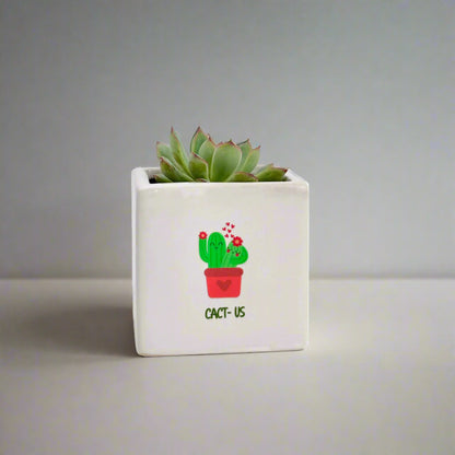 plant gift for lovers