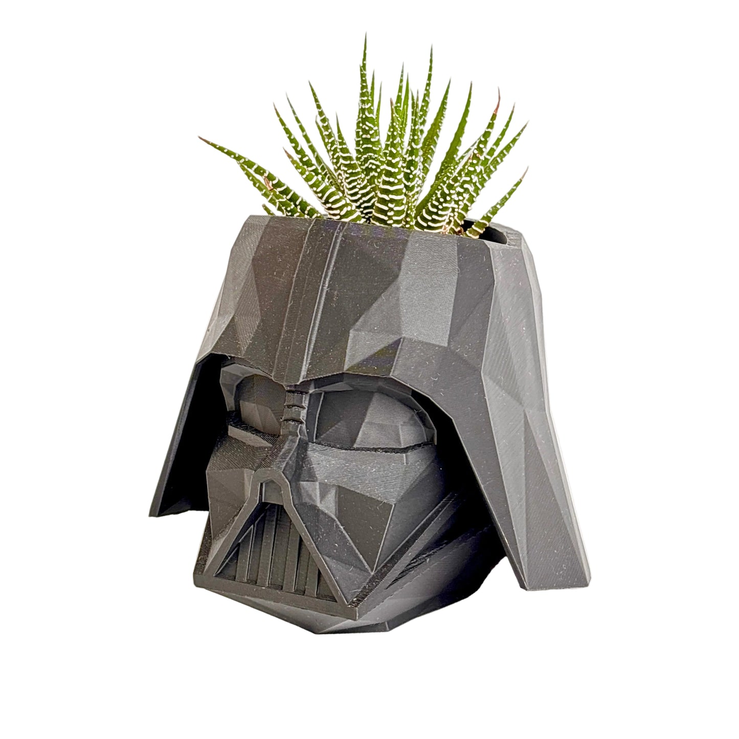 Succulent in Darth Vader pot