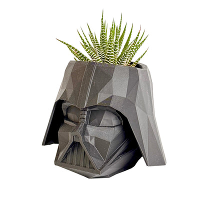 Succulent in Darth Vader pot