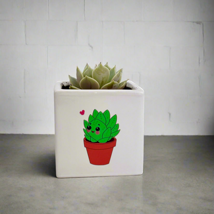 Romantic Plant Gifts