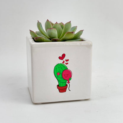 Desk Plant Gift with Romance theme