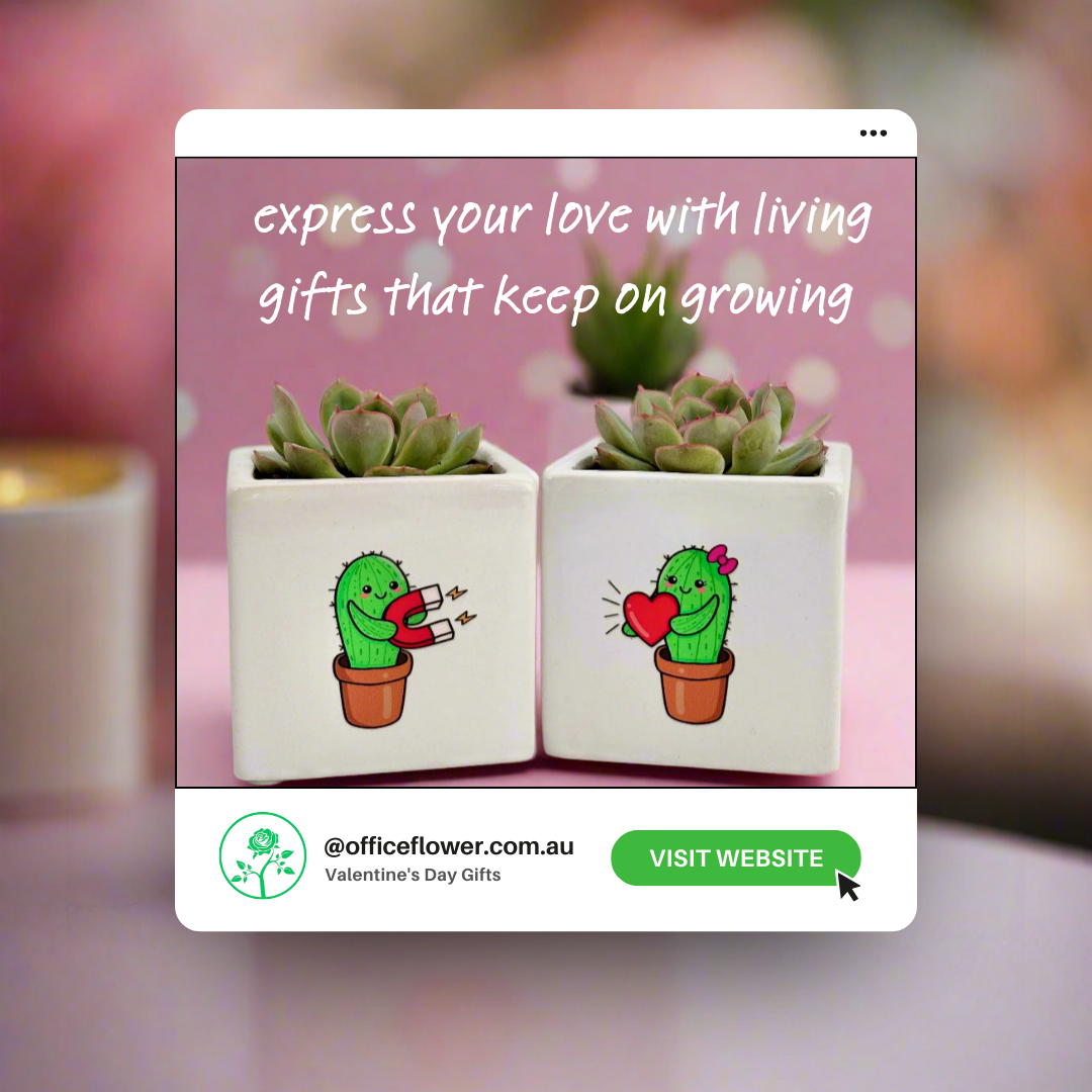 Plant lovers gift