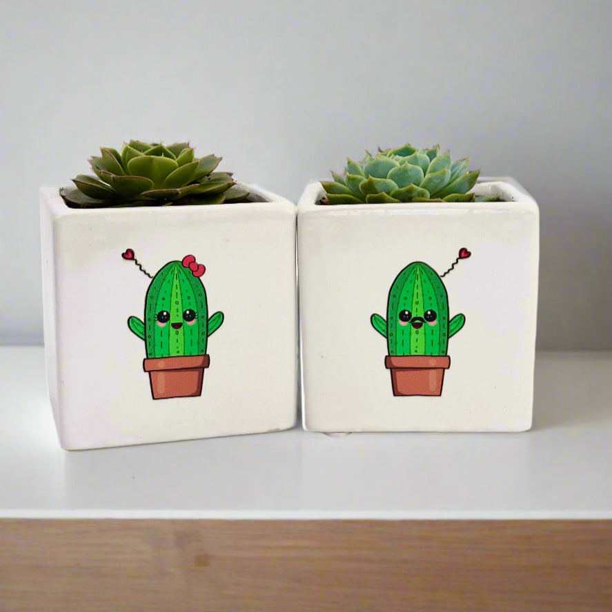 Happy Face Succulent Gift