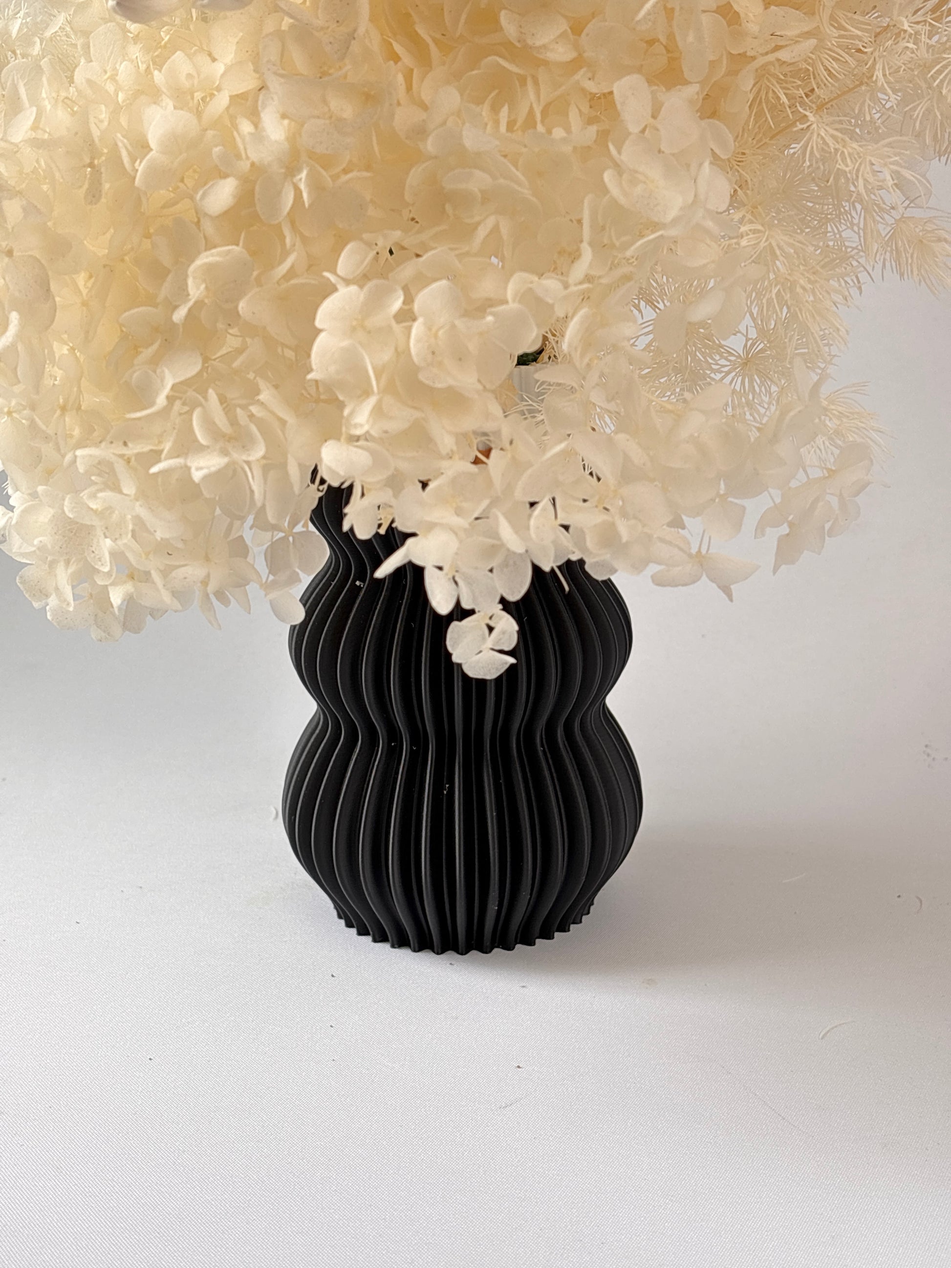 Black vase with white flowers on a white background