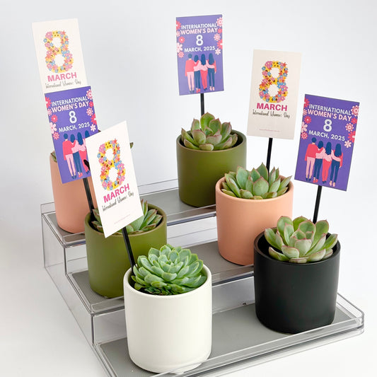 international womens day plant gifts