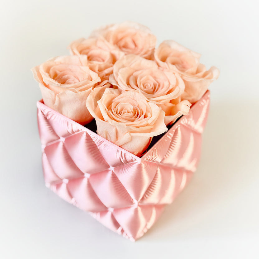 preserved roses pink
