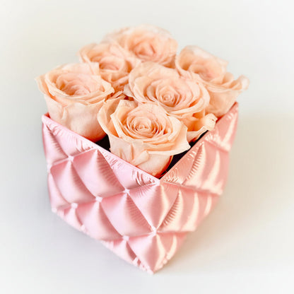 preserved roses pink
