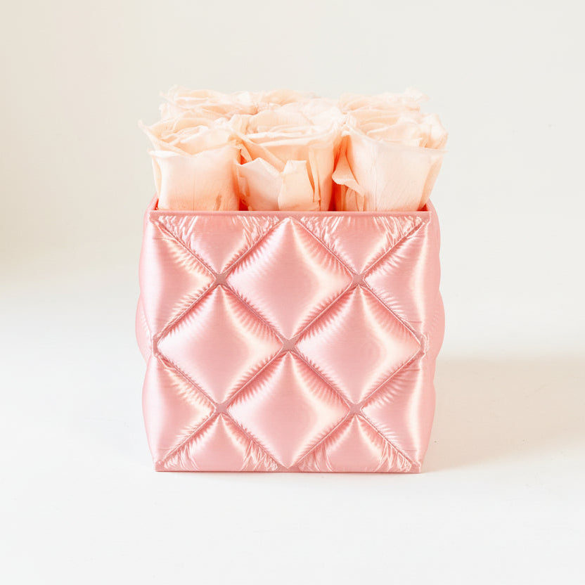 preserved roses pink