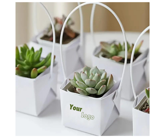 plant gift with logo 