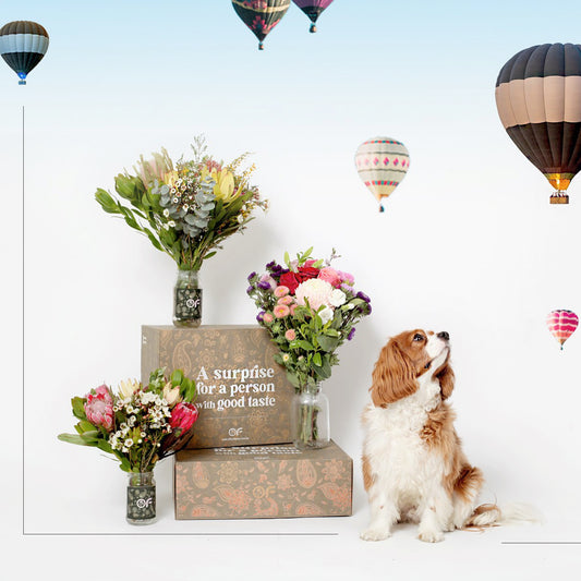 Native Posy gift box - Office Flower