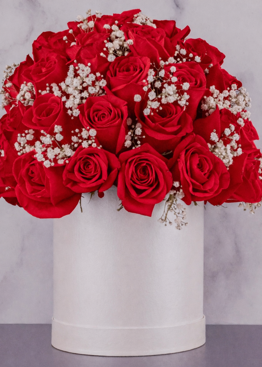 Classic red roses in premium gift box