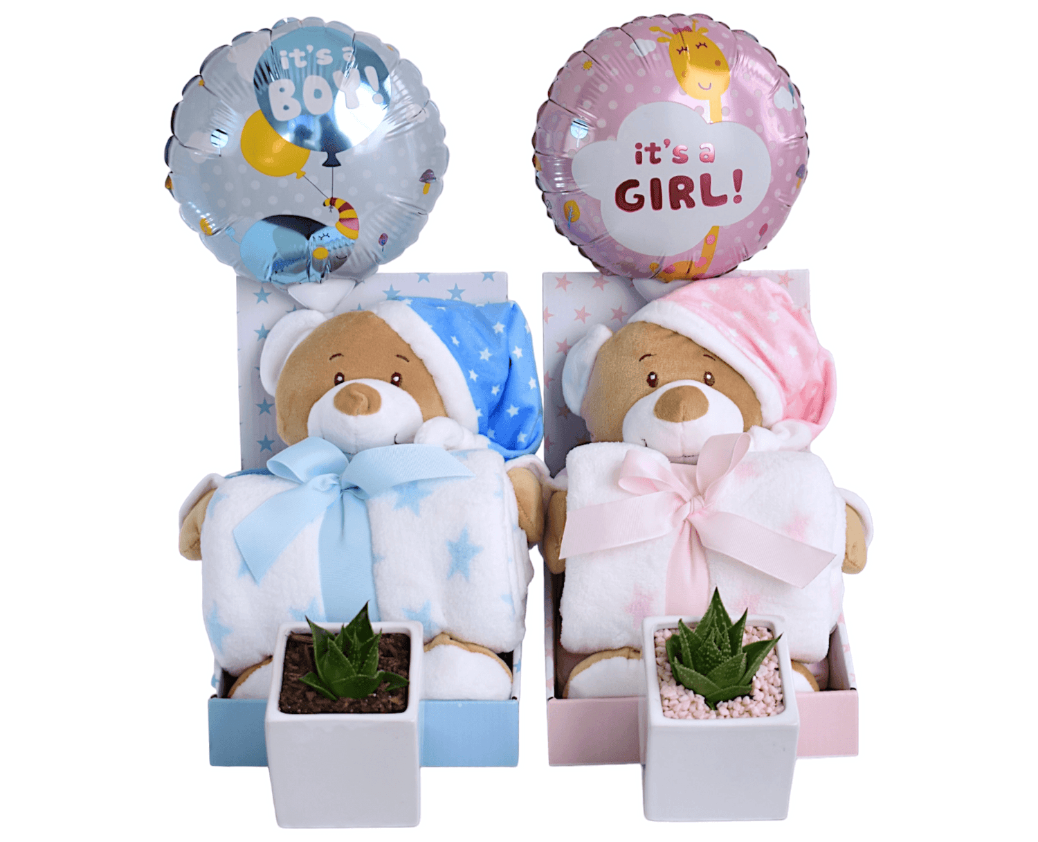 Succulent Gift Boxes | Baby Hampers - Office Flower