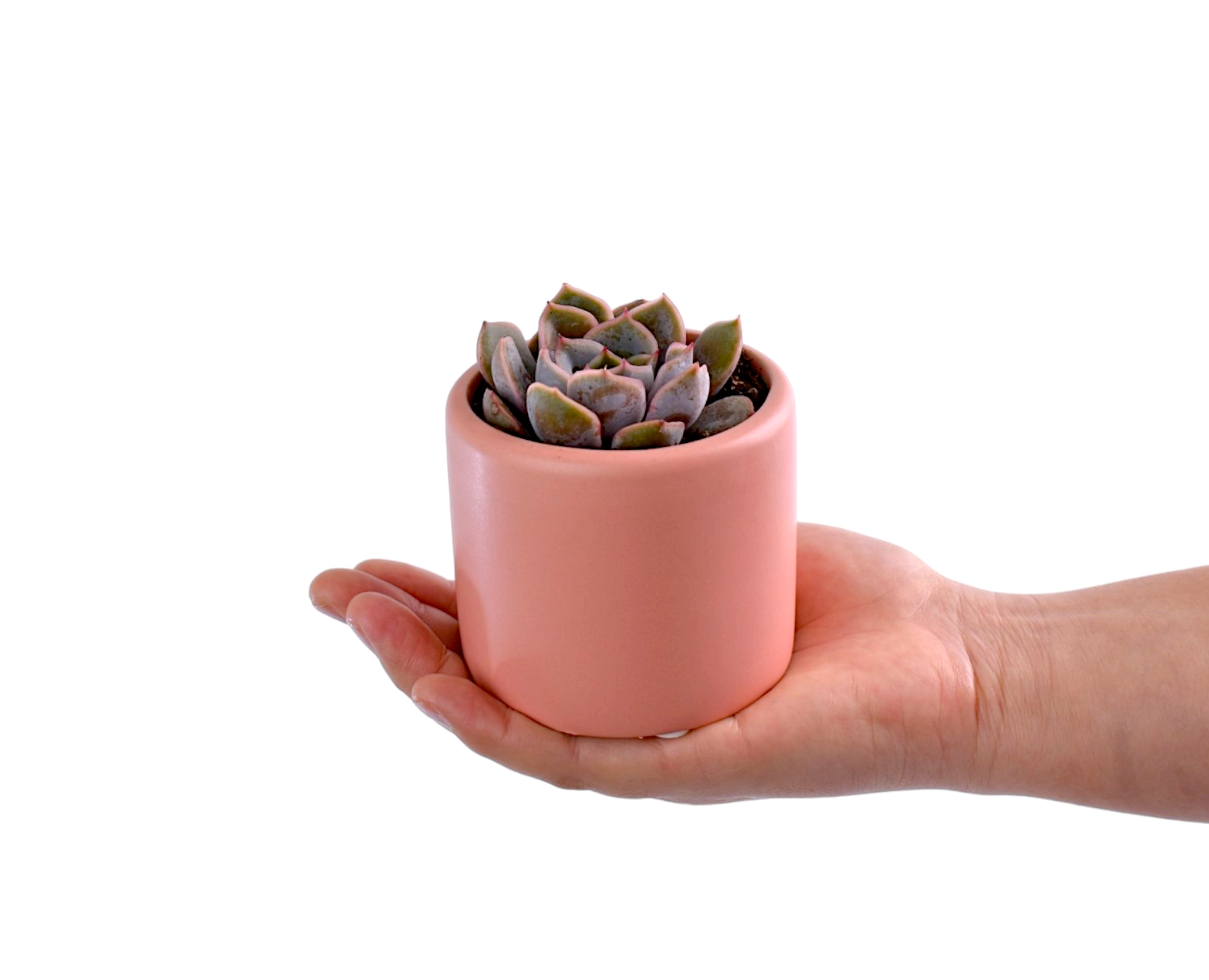 Candle and Succulent Gift Box - Office Flower