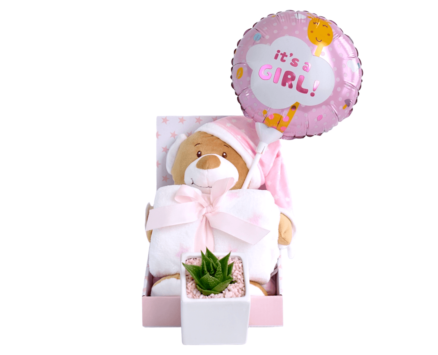 Succulent Gift Boxes | Baby Hampers - Office Flower