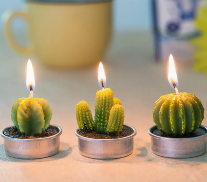 Mini Cactus Candle