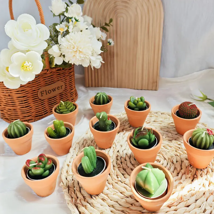 mini succulent candles Mini Succulent Candle – Office Flower