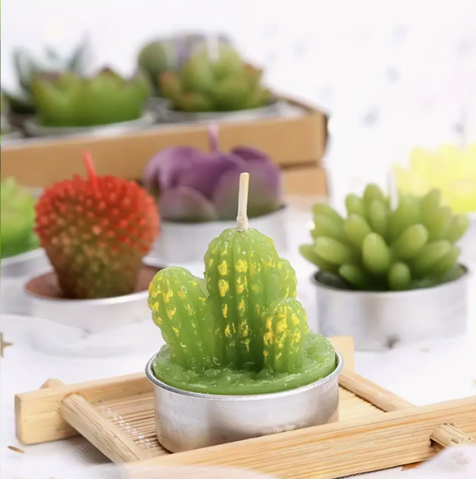 Succulents Wax Candles