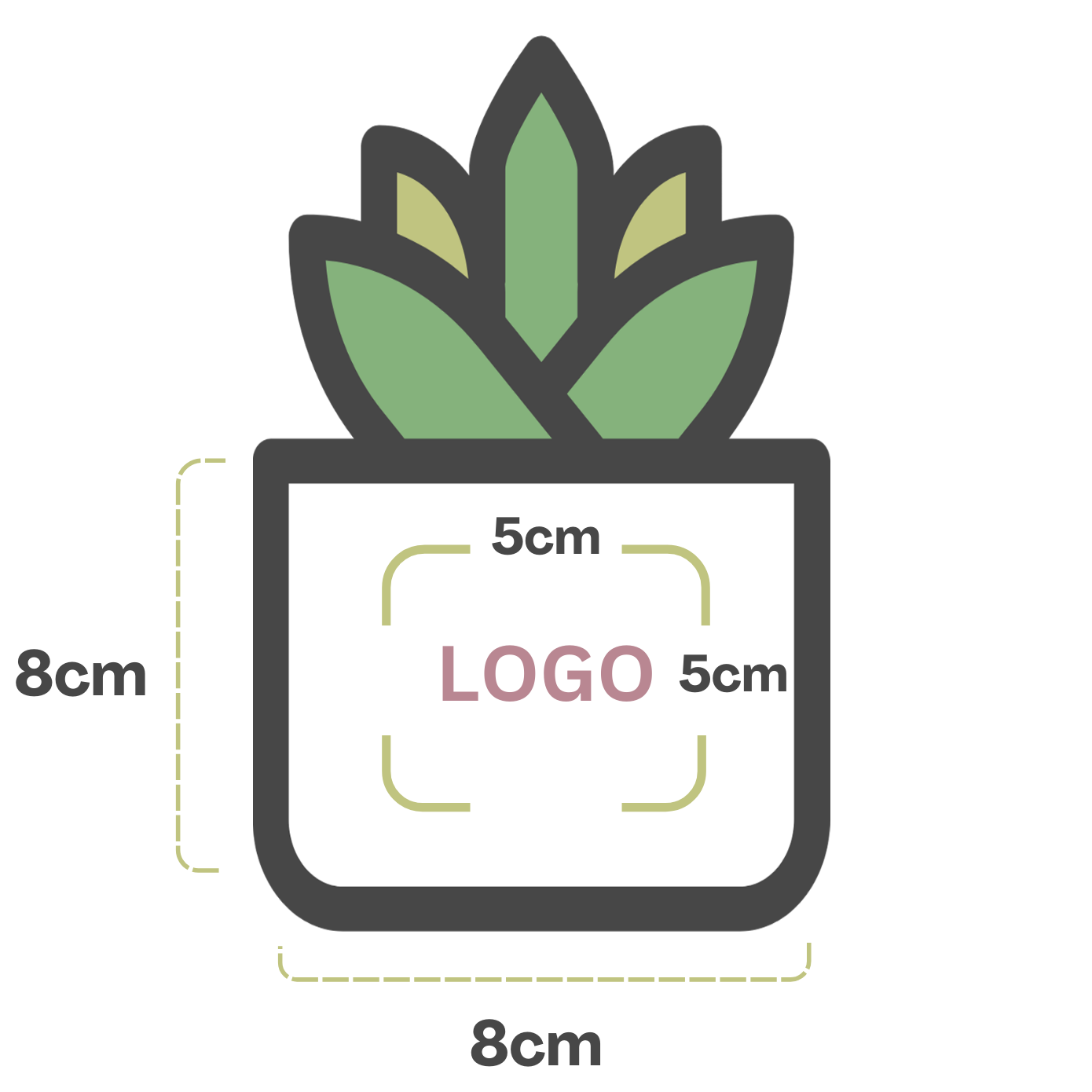 succulent pot size pot 
