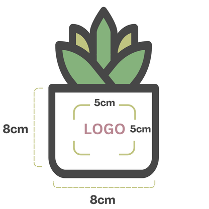 succulent pot size pot 