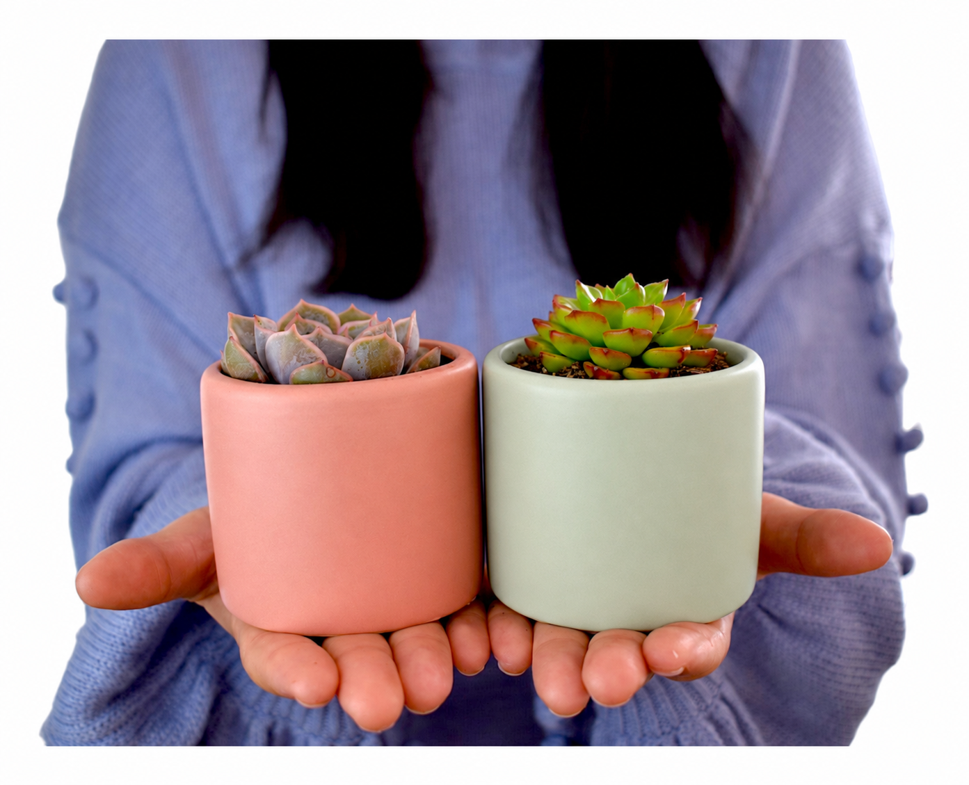 A person in a blue sweater holds two small potted succulents in their hands against a white background. One succulent is in a matte coral-pink pot and the other is in a matte pale sage-green pot.