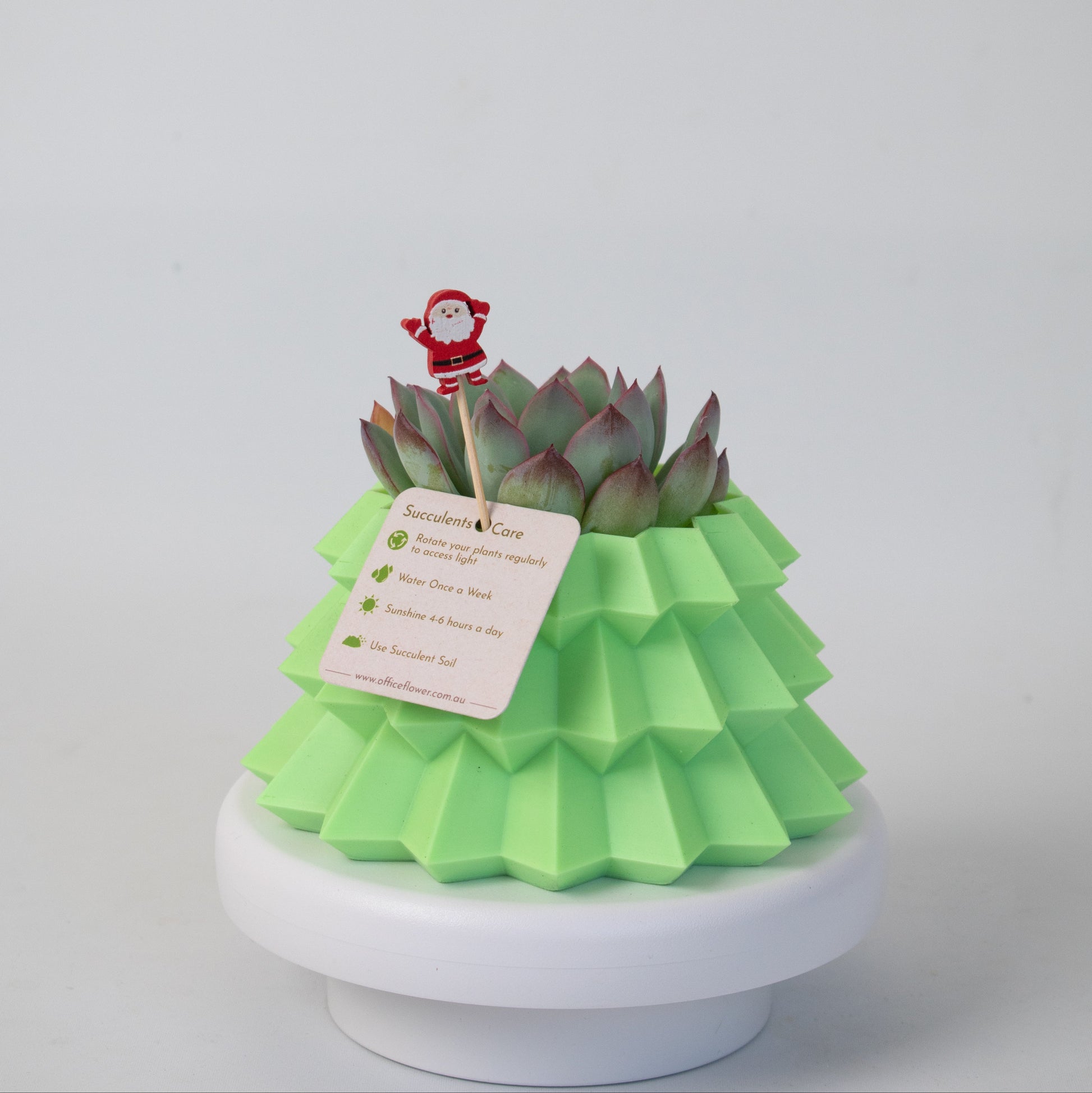 Green geometric Christmas tree–shaped planter with a rosette succulent on a white background