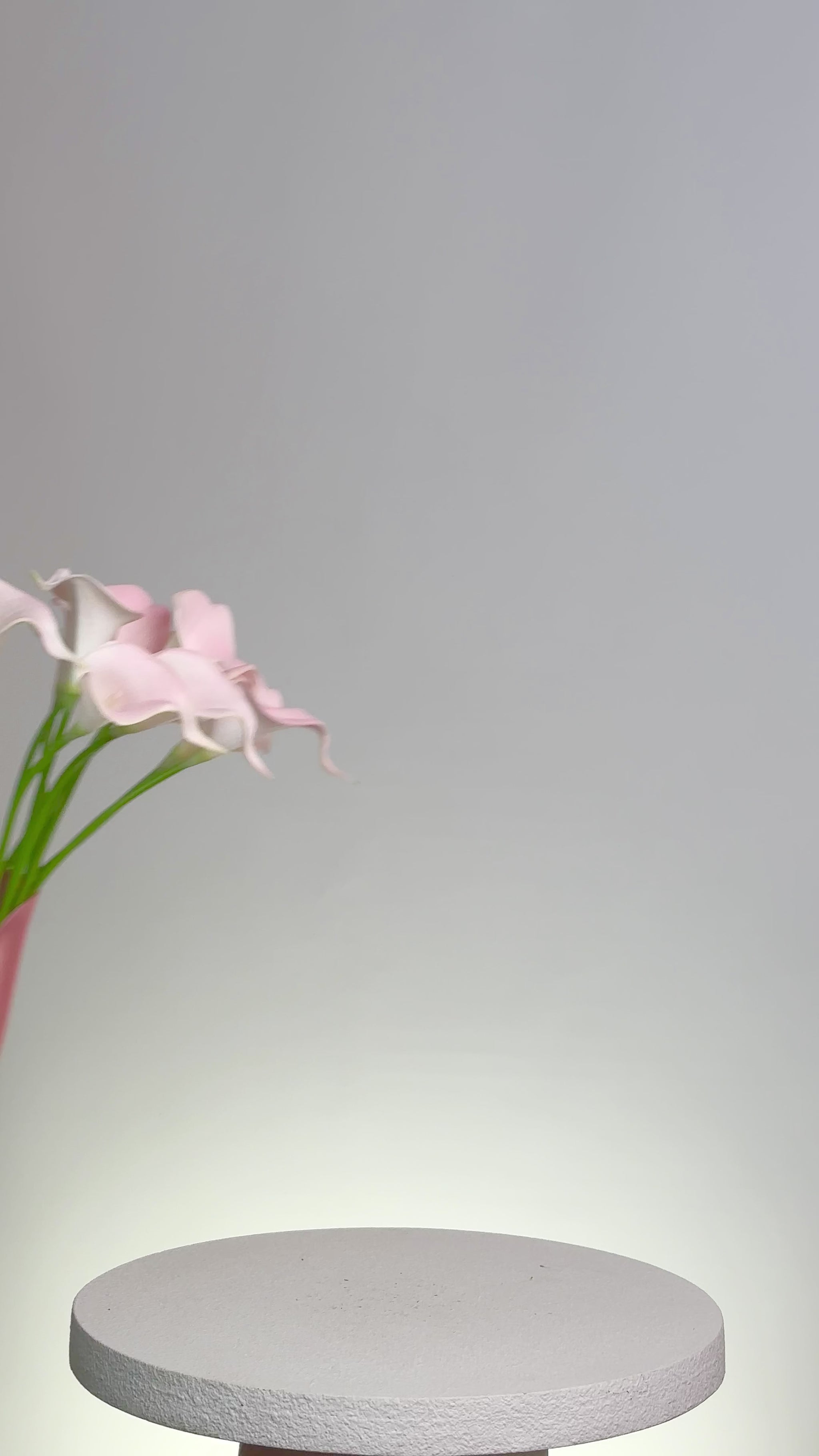 Bouquet of pink flowers with a white circular object in the foreground on a gray background