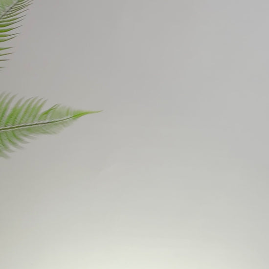 Green arrangment for desk and table 