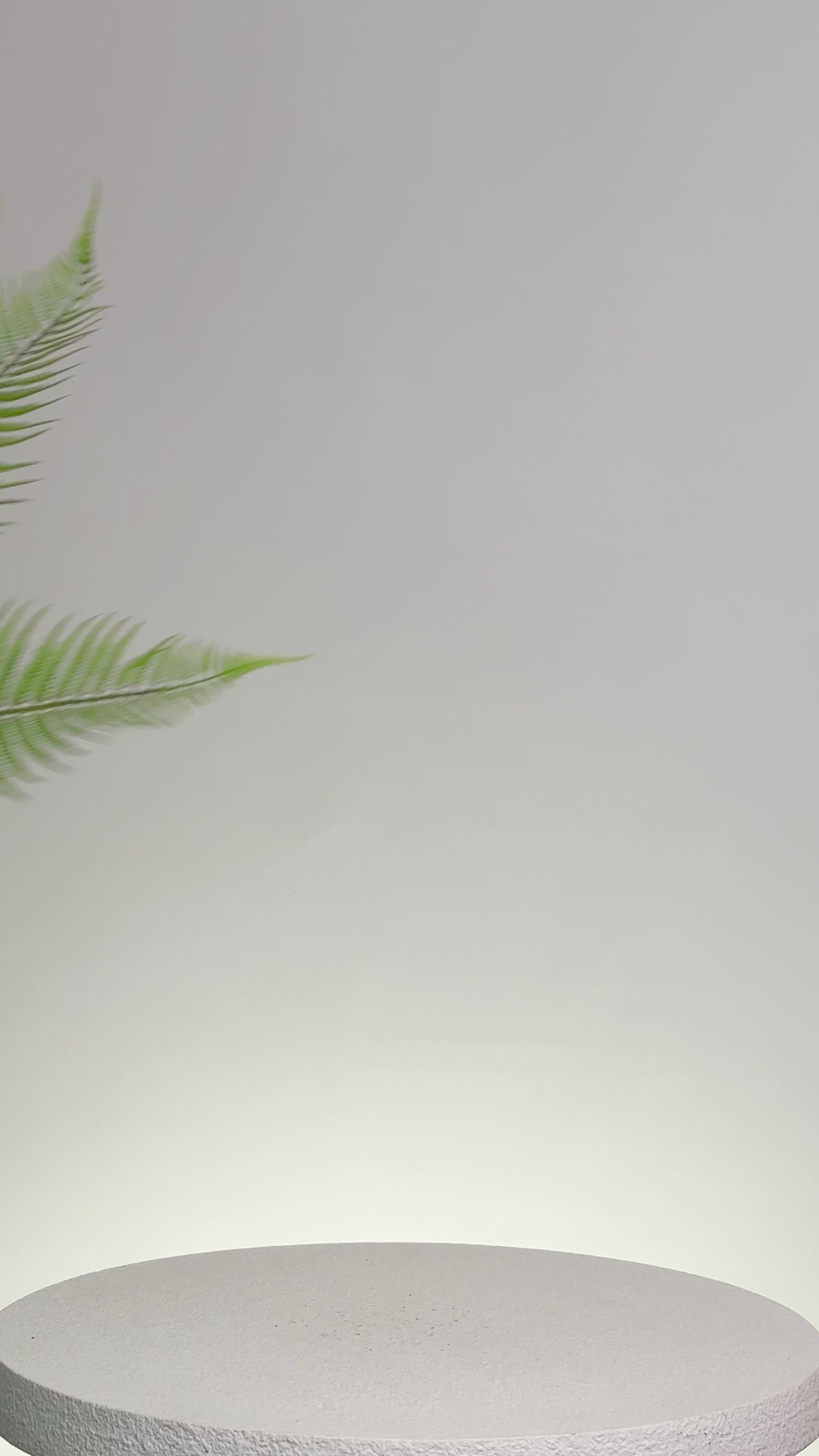 Green arrangment for desk and table 